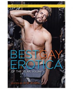 Best Gay Erotica of the Year Volume 3